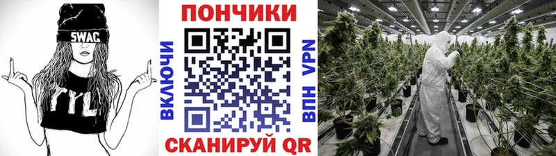 Конопля THC 21%  Приозерск 